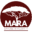 Site icon
